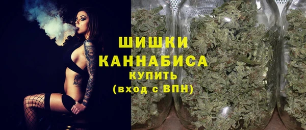 ПСИЛОЦИБИНОВЫЕ ГРИБЫ Рославль