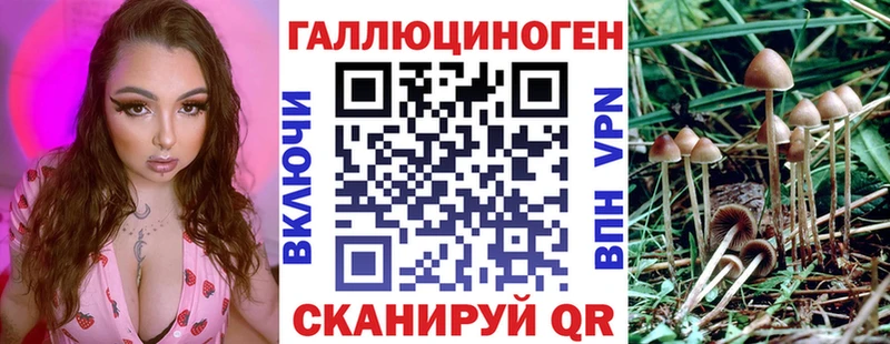 гидра маркетплейс  где можно купить наркотик  Бежецк  сайты даркнета телеграм  Псилоцибиновые грибы мухоморы 